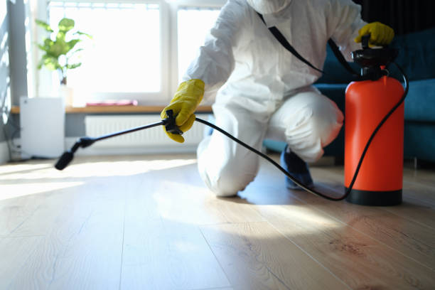 Trusted Sewage Cleanup service in Allendale, MI - Four Month Blood Cleanse